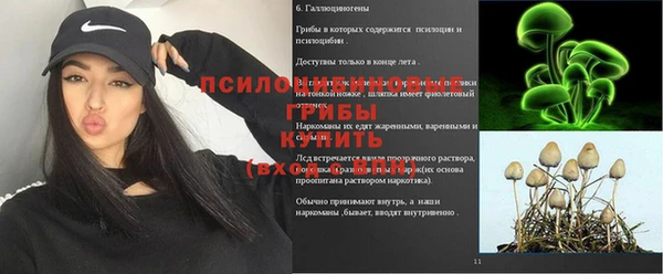 СК Арсеньев