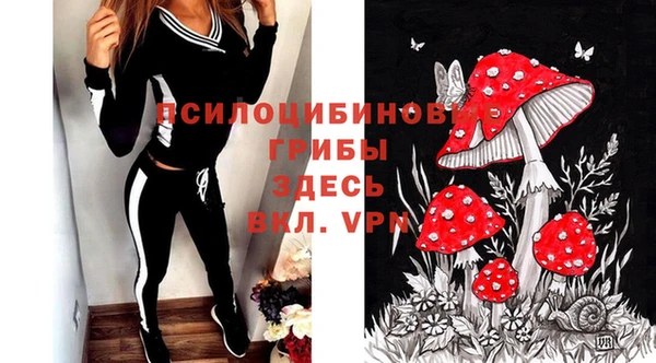 СК Арсеньев