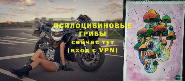 спайс Аркадак