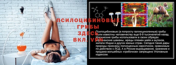 СК Арсеньев