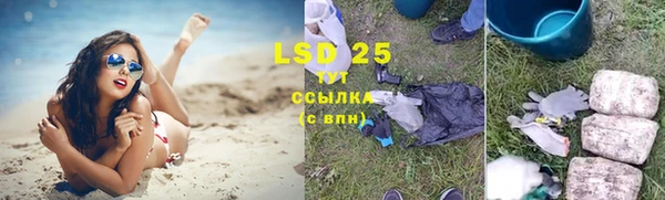 спайс Аркадак