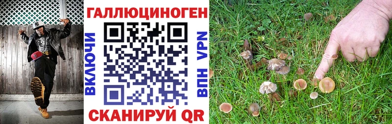 Псилоцибиновые грибы прущие грибы  где найти наркотики  Узловая 